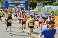 광제산 멋진 풍광 보며 달린… 진주산길마라톤대회 호응