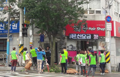 마산합포구 합포동, 가로수 가지치기