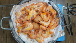 목포에서 4시간 달려 온 …펄떡 왕새우로 기력 보충해요!