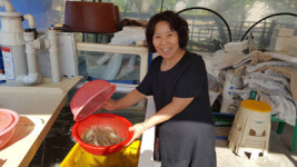 목포에서 4시간 달려 온 …펄떡 왕새우로 기력 보충해요!