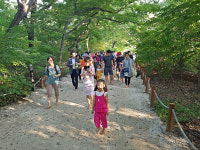 함양 상림공원 맨발로 힐링