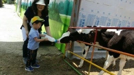 친환경 프리미엄 요거트와 구워먹는 생치즈 맛보세요