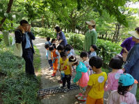 숲 해설이 있는 산책