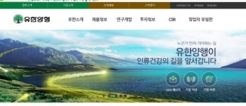 유한양행 초대박, 안티 없는 유일무이 기업에 응원만… 털어서 먼지하나 안 나오는 기업