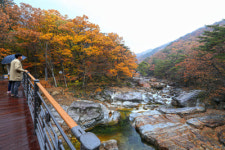 산청 대원사 계곡 전국 최고 명품 생태탐방로 탄생