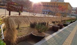 이마트24 진영대흥점 | 진영대흥초 '이엉 엮기' 활동