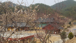 오랜 역사 품고 오백나한 모신 최고의 기도 도량