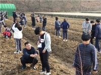 남해 창선고, 흥선 농장서 희망나무 심기 행사