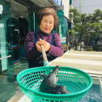 [김해 일미 복요리 전문점] 다채로운 복요리 죽음과도 바꿀 맛에 빠지다