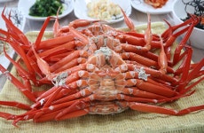 강릉 경포대 맛집 주문진 홍게무한리필, 강릉 단오제를 즐기는 여행객들의 입맛 사로잡아