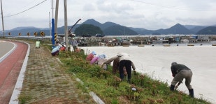 창녕군 도천동 우포마을， 마을 주민 참여 환경정화