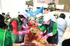 통영시 용남면 새마을지도자협의회， 김장 담그기 행사