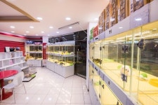 구리 강아지분양 전문 브랜드 요미펫, 365일 원스톱 서비스 지원