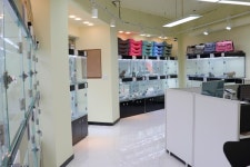 부천강아지분양 요미펫 부천점 오픈 말티즈 등 소형견부터 대형견분양까지