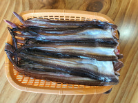 차창 밖 해안도로 즐기며 돌장어구이 별미에 빠지다