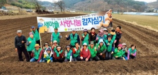 밀양시새마을회, 새마을 사랑나눔 감자심기