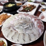 제철 보양식 봄 도다리 맛집, 사직동 삼천포횟집