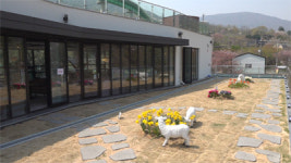 그린월드힐링쉼터 | [멋집 & 맛집]자연 속 가족쉼터서 커피 향 맡으며 '황금힐링'해요