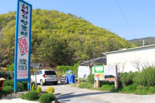 [바로 이사람!]노지 알로에ㆍ허브로 바이러스 정복 꿈꿔요