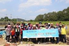 합천교육지원청， 용주면 손목리 마늘 농가 일손돕기