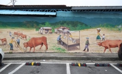 산청 옛 우시장 터에 벽화 조성 눈길