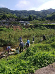 하동군 적량면 삼칠회， 마을 환경정화 활동