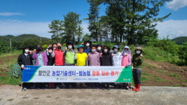 함안군 농업기술센터ㆍ범농협, 합동 일손돕기