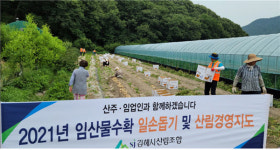 김해시산림조합 임직원, 산딸기ㆍ감자 수확 일손 돕기