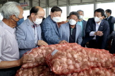 합천동부농협 산지 마늘 초매식 후 경매
