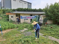 주촌면발전협， 독거노인 주거환경 개선 `구슬땀`