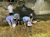사천시， 잉어 등 어린고기 4만마리 방류
