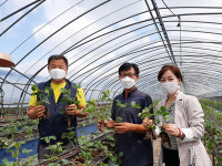 직접 기른 농산물 이웃과 나눠 기뻐