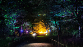 힐링ㆍ활력ㆍ즐거움 코스 따라 건강관리법 배우고 활력 충전해요