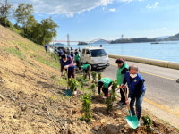 사천 동서동 바살위， 수국 꽃길 조성 환경정비