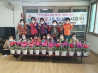 거창읍 지사보장협， 독거노인 26명 반려 식물 전달