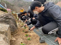화개초등학교왕성분교장, 학교화단 가꾸기로 푸른 지구 만들기 실천
