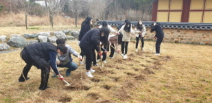마산합포구， 4ㆍ3삼진독립의거 103주년 무궁화 식재