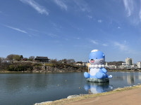 진주 `하모` 새 모습으로 남강 등장