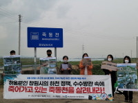 오수 유입ㆍ기름 `둥둥` 죽동천 복원을