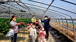 창원대산청년회， 어린이 딸기따기 체험행사