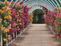 진해 농업테마파크 `힐링 명소` 눈길