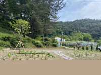 양산시 하북면 행정복지센터， 한평정원 조성