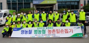 경남농협， 합천군 낙민마을 양파 농가 일손 돕기
