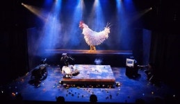 `거창 한여름밤의 꿈` 연극 무대서 깨어난다