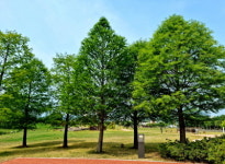 국내 최대 청동기 유적지… 고인돌ㆍ공룡 발자국 찾아 시간여행