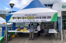 고성 옥수수 `쫀달고` 맛보세요