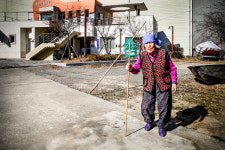 사진 앵글에 잡힌 삶과 죽음의 순환성