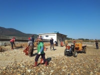남해군 설천면 진목마을， 마을 해안가 정화활동