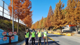 진주 내동 메타세콰이어 길 `명소` 만들기