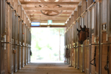 함안군 승마공원 기간제 근로자 모집